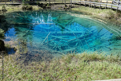 Scenic view of crystal clear waters with submerged logs of Lake Meerauge surrounded by green trees in Boden Valley in Karawanks mountain range in Austria. Turquoise colored pond Austrian Alps photo