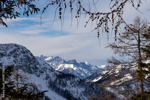 Selective focus on tree branches with scenic view on snow capped mountain peaks of Karawanks and Julian Alps in Carinthia, Austria. Looking at summits Mangart and Montasio. Remote alpine landscape photo