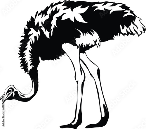 Cartoon Black and White Isolated Illustration Vector Of An Ostrich Standing Up
