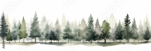 Watercolor Tree Line of Kauri on White Background AI Generated photo