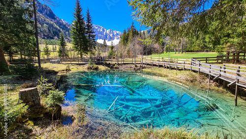 Scenic view of crystal clear waters with submerged logs of Lake Meerauge surrounded by green trees in Boden Valley in Karawanks mountain range in Austria. Turquoise colored pond Austrian Alps photo
