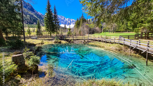 Foto Scenic view of crystal clear waters with submerged logs of Lake Meerauge surrounded by green trees in Boden Valley in Karawanks mountain range in Austria