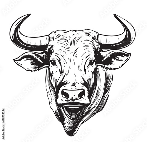 Head of bull logo sketch hand drawn Vector