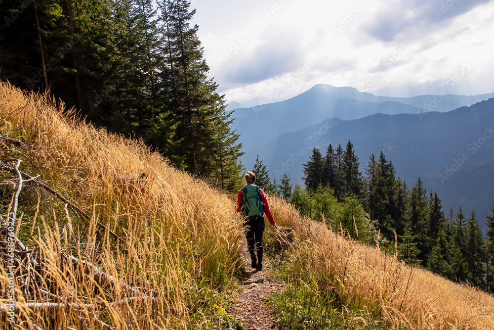 Fototapeta premium Woman with backpack on hiking trail along golden colored blades of grass in mountain ranges of Karawanks in Carinthia, Austria. Remote alpine landscape in Bodental, Austrian Alps. Wanderlust in autumn