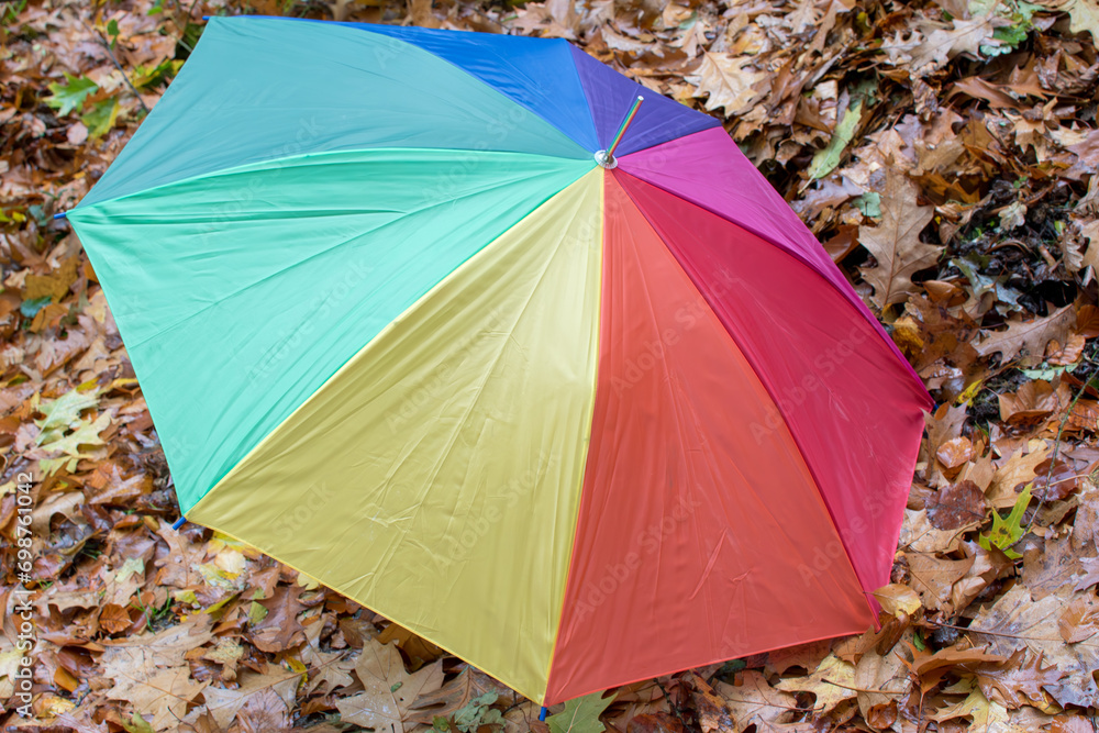 umbrella in autumn forest,Multi-colored umbrella close-up during a rain,colored umbrella in the park on the autumn leaves