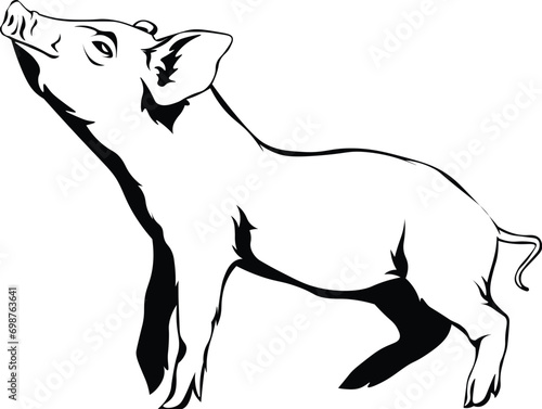 Cartoon Black and White Isolated Illustration Vector Of A Farm Pig Piglet Standing Up