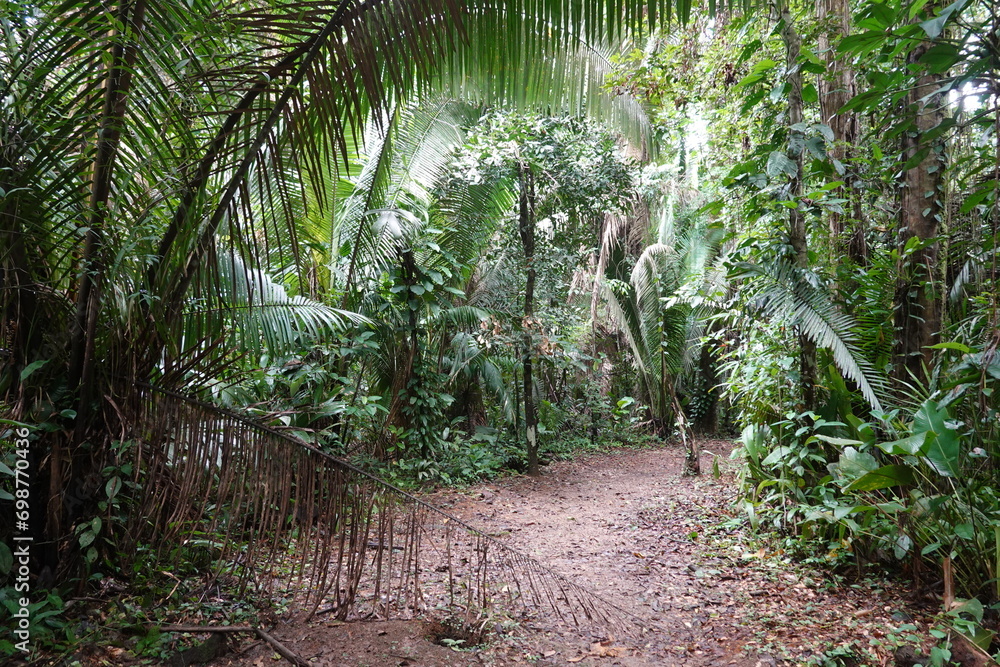 Belize - Cockscomb Basin Wildlife Sanctuary Belize - Cockscomb Basin Wildlife Sanctuary