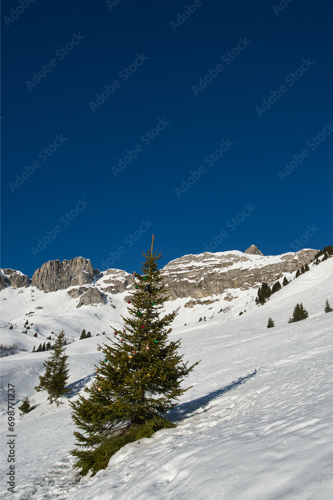 Christmas decorated fir tree in the snow with a blue sky in the mountains