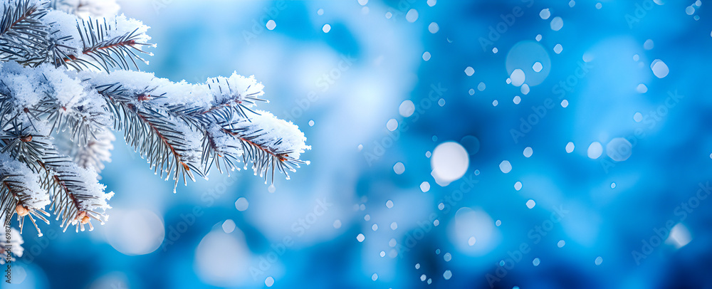 Close-up of frozen pine tree branch and snow, unfocused blurred background with blue sky and snowflakes
