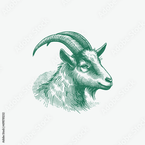Handdrawn Illustration of a Goat Head