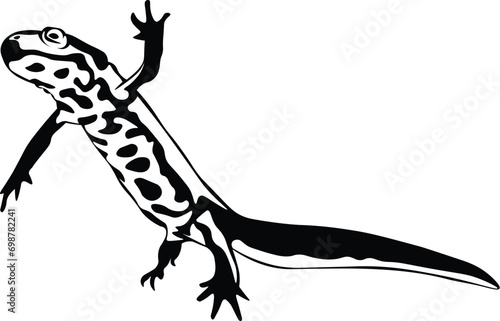 Cartoon Black and White Isolated Illustration Vector Of A Salamander Lizard