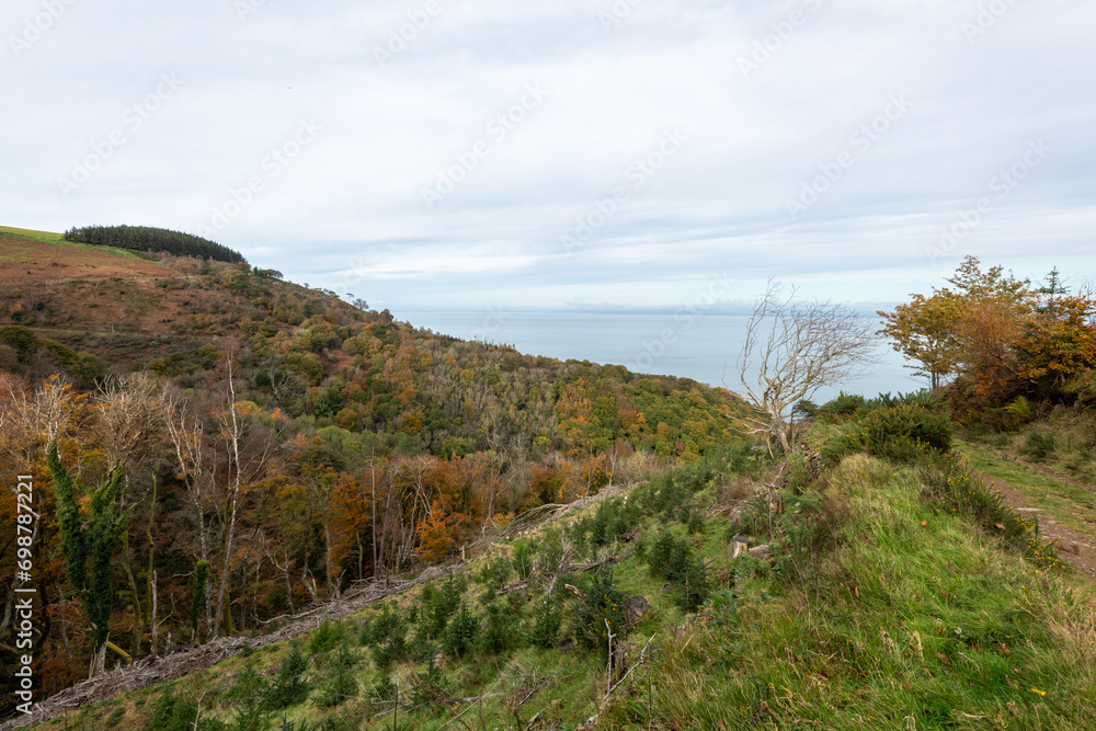 Landscape photo of the autumn colours at Glenthorne in Exmoor National Park Landscape photo of the autumn colours at Glenthorne in Exmoor National Park