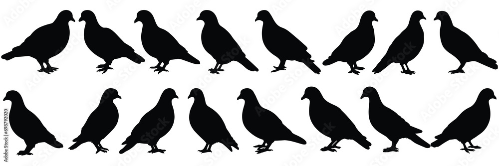 Bird pigeon silhouettes set, large pack of vector silhouette design, isolated white background Bird pigeon silhouettes set, large pack of vector silhouette design, isolated white background