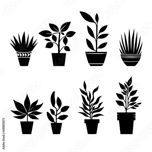 Vector illustration. Silhouette of flowers in pots. Large set of plants.