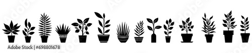 Vector illustration. Silhouette of flowers in pots. Large set of plants. photo