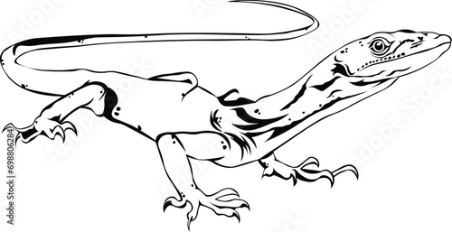 Cartoon Black and White Isolated Illustration Vector Of A Komodo Dragon
