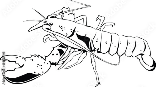 Cartoon Black and White Isolated Illustration Vector Of A Lobster with Large Claw