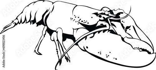 Cartoon Black and White Isolated Illustration Vector Of A Lobster with Large Claw
