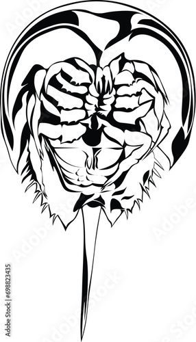 Cartoon Black and White Isolated Illustration Vector Of A Horseshoe Crab