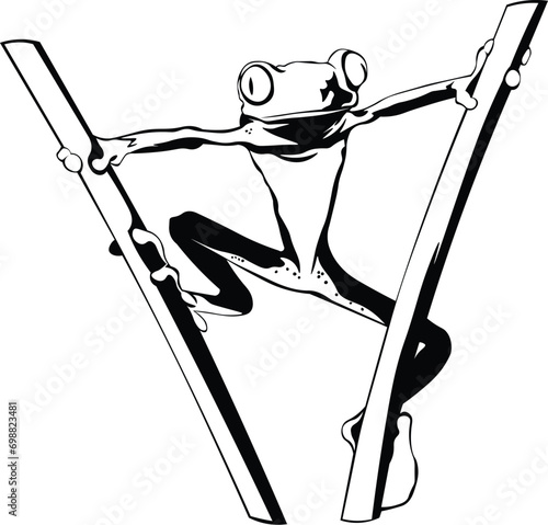 Cartoon Black and White Isolated Illustration Vector Of A Tree Frog Hanging Between 2 Branches