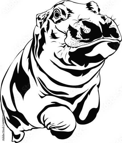 Cartoon Black and White Isolated Illustration Vector Of A Swimming Hippo