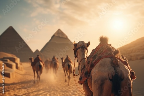 Majestic Camels Resting at the Pyramids of Giza in Egypt - A Timeless Scene Illustrating the Coexistence Between Animals and the Historical Wonders of Ancient Egypt photo