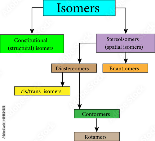 The different types of isomers. Stereochemistry focuses on stereoisomers.Vector illustration.
