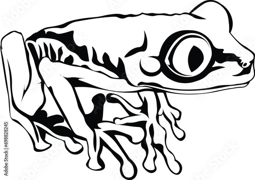 Cartoon Black and White Isolated Illustration Vector Of A Tree Frog