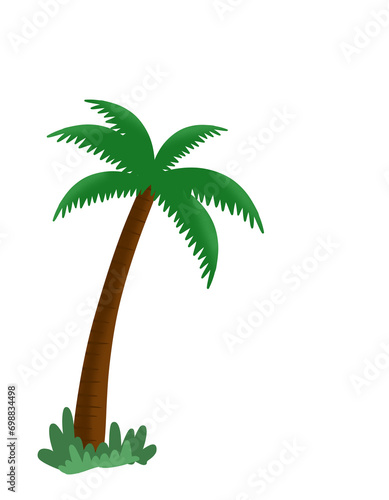 Coconut tree illustration