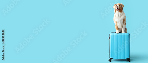 Cute Australian shepherd dog with suitcase on blue background with space for text
