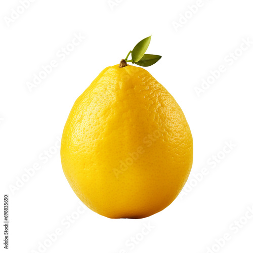 Fresh Lemon on Transparent Background
