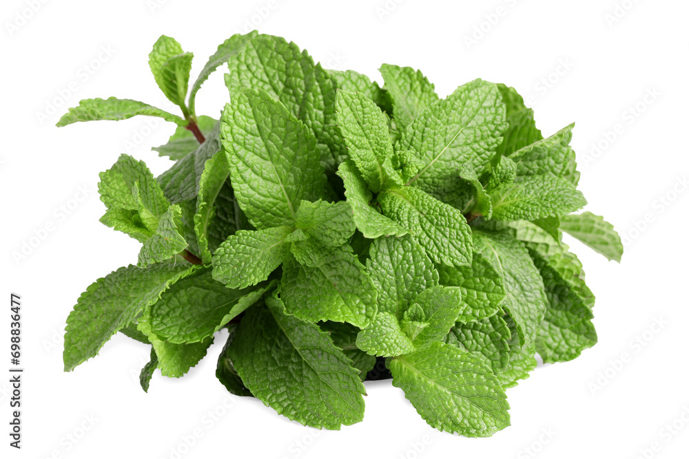 Fresh mint plant with green leaves isolated on white Fresh mint plant with green leaves isolated on white