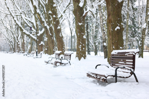 Benches covered with snow and trees in winter park  space for text