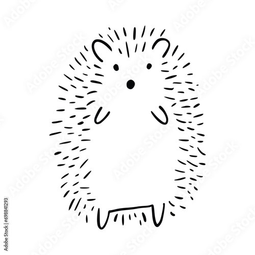 Cartoon doodle cute hedgehog - isolated vector illustration. Hand-drawn adorable hedgehog on his back. Spiny mammal. Forest animals. Vector illustration for children.