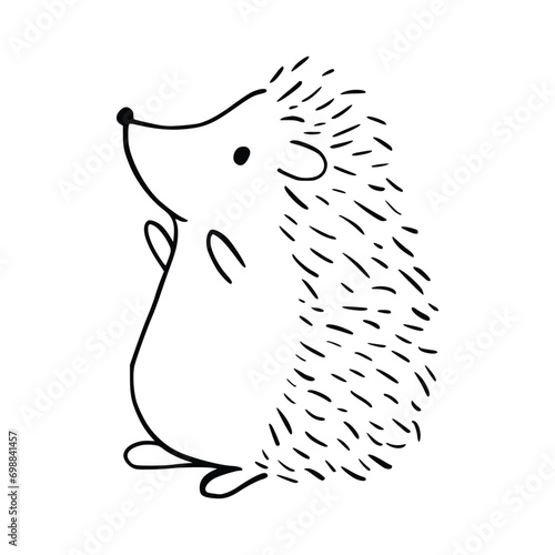 Cartoon doodle cute hedgehog - isolated vector illustration. Hand-drawn adorable hedgehog on his back. Spiny mammal. Forest animals. Vector illustration for children.
