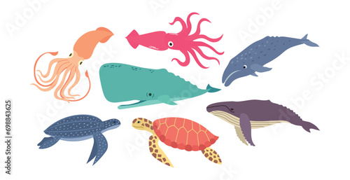 Set of sea and ocean animals turtles, squids and whales  cartoon vector illustration