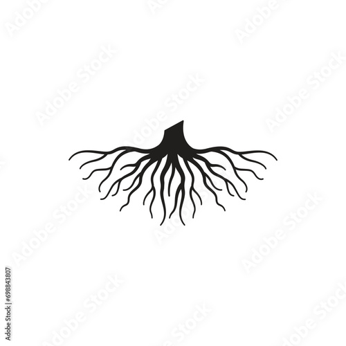 root icon vector