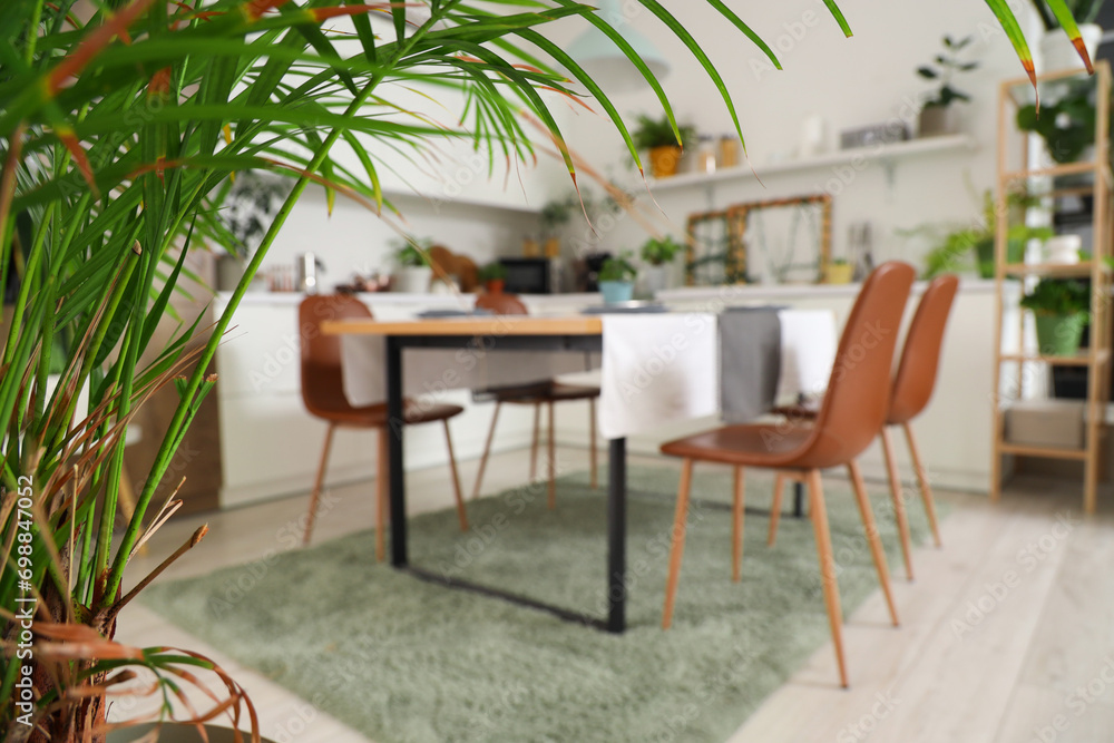 Fototapeta premium Palm tree in modern kitchen, closeup