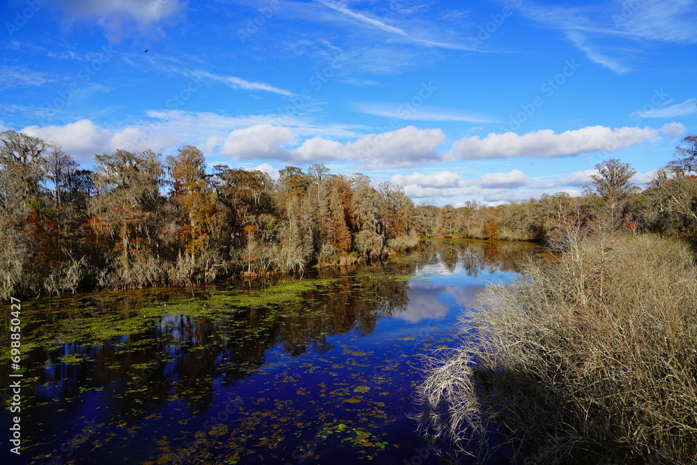 The winter landscape of Hillsborough river and Lettuce park at Tampa, Florida
The winter landscape of Hillsborough river and Lettuce park at Tampa, Florida