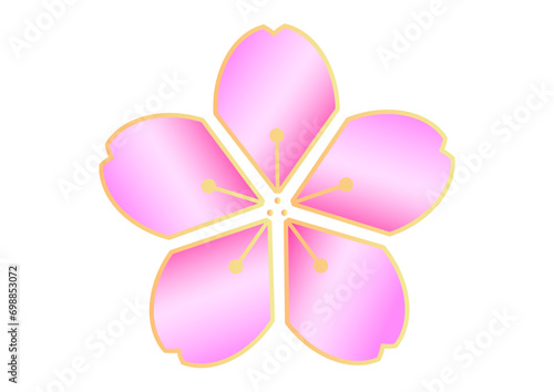 ピンク色と金色の桜の花のイラスト素材