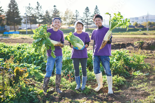 野菜の収穫をする日本の親子