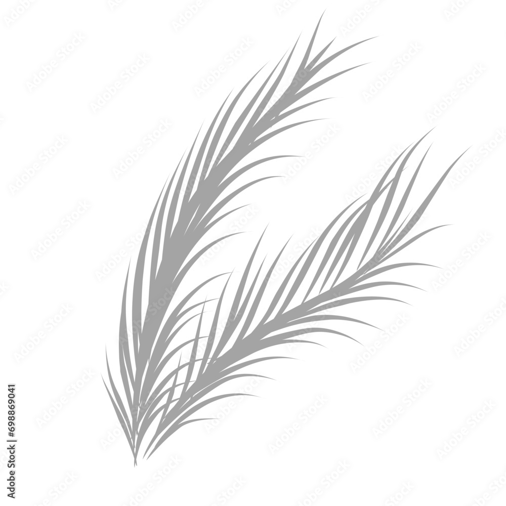 Obraz premium Coconut leaves shadow 