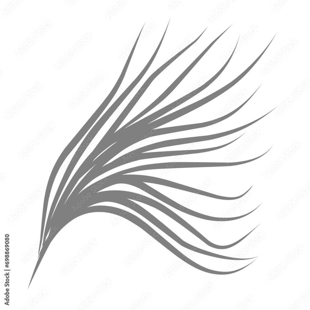 Obraz premium Coconut leaves shadow 