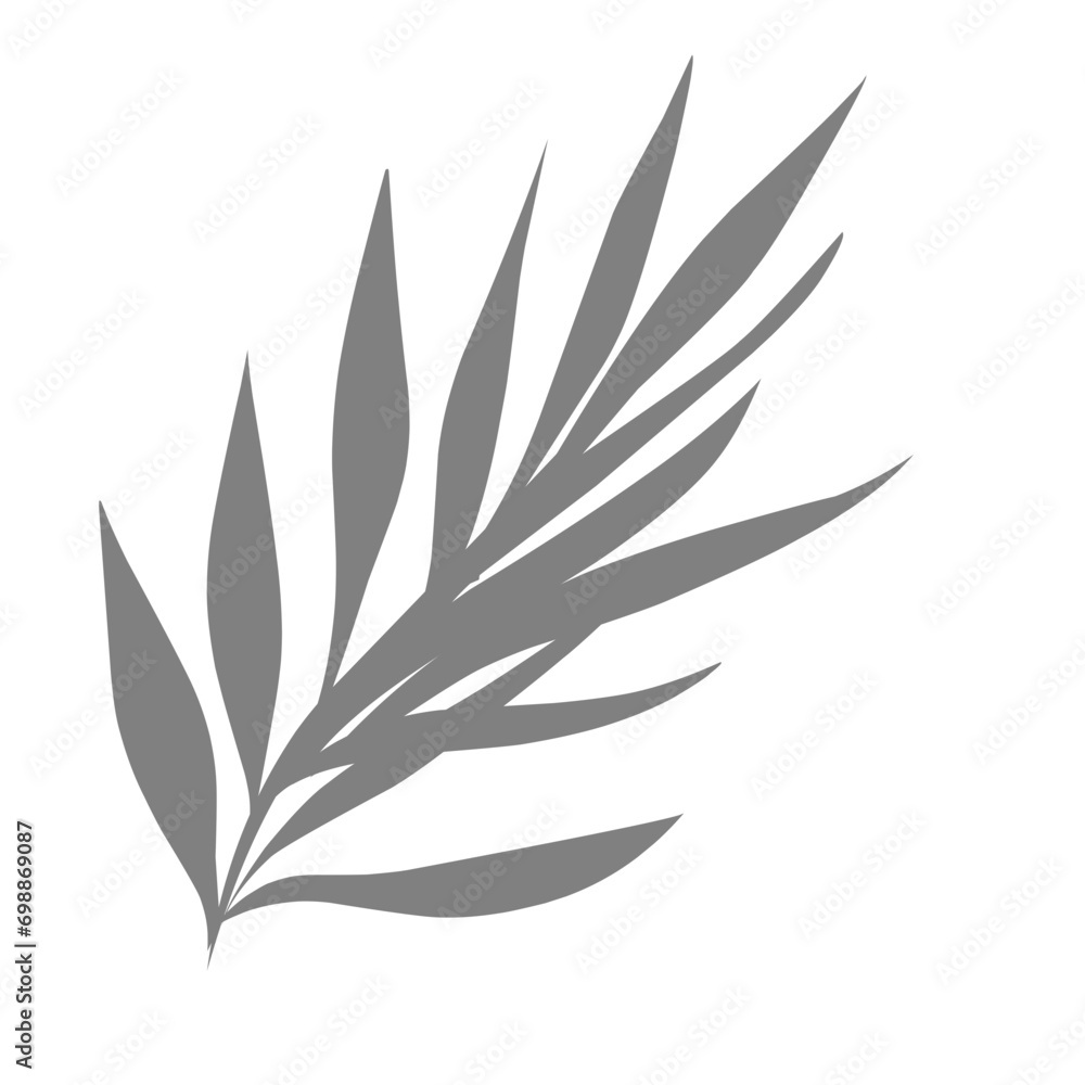 Fototapeta premium Coconut leaves shadow 