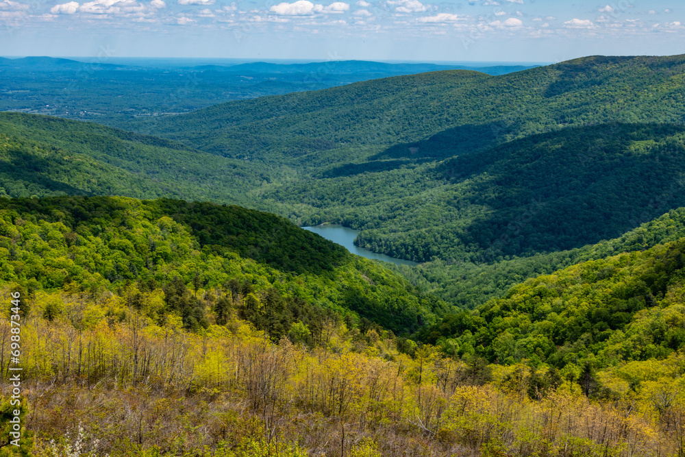 Fototapeta premium View from Moomans River overlook in the Shenandoah National Park