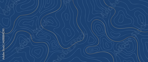 Topographic map pattern background vector. Luxury abstract mountain terrain map background with abstract shape line texture. Design illustration for wall art, fabric, packaging,web, banner, wallpaper.