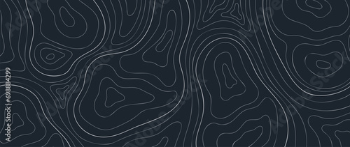 Topographic map pattern background vector. Abstract mountain terrain map background with abstract shape line texture. Design illustration for wall art, fabric, packaging, web, banner, wallpaper.