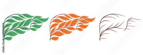 Vector set of human healthy and unhealthy livers from leaves isolated from background. Collection of internal organs