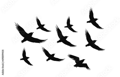 Flock of birds Silhouette Vector art Set, Flying bird flocks black Clipart isolated on a white background