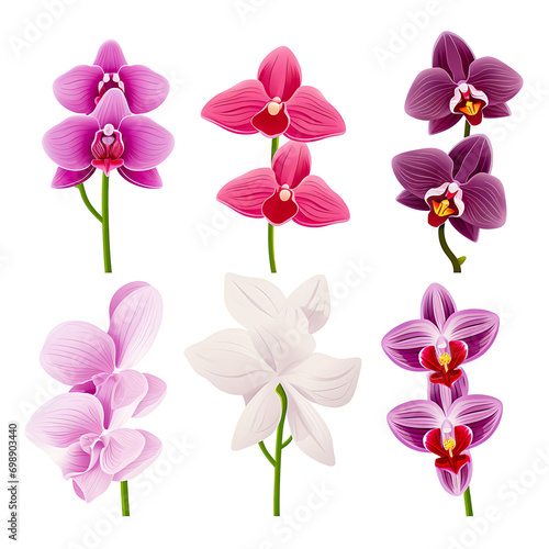 Botanical Elegance Delicate Orchids Showcasing Nature's Vibrancy in Stunning Floral Arrangements, Generative Ai